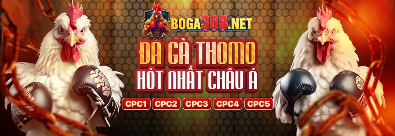 Sân chơi đá gà trực tuyến Sunwin